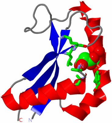 Image Asym. Unit - sites