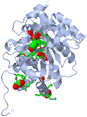 Image Biol. Unit 1 - sites