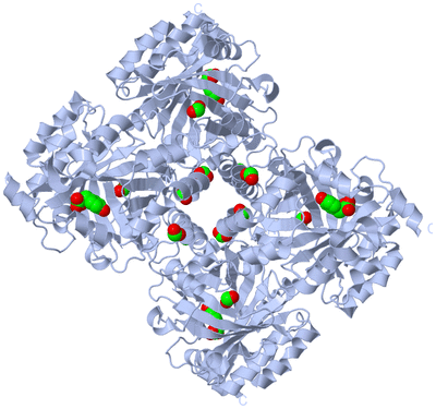 Image Biological Unit 2