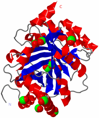 Image Asym./Biol. Unit