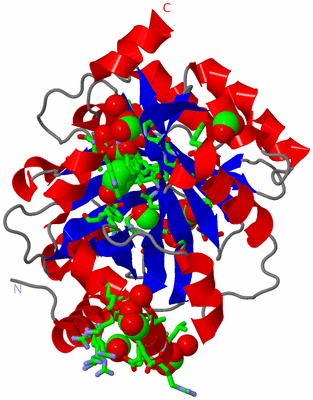 Image Asym./Biol. Unit - sites