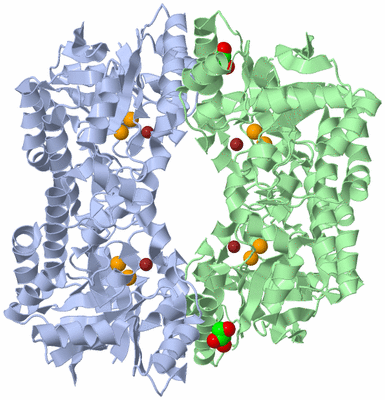 Image Biological Unit 1