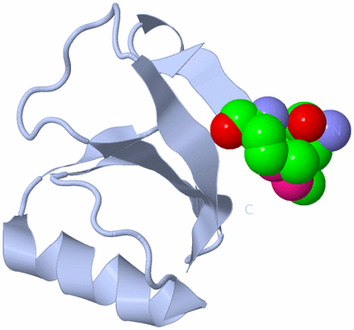 Image Biological Unit 1