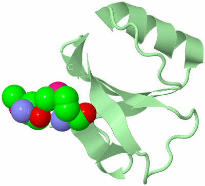 Image Biological Unit 2