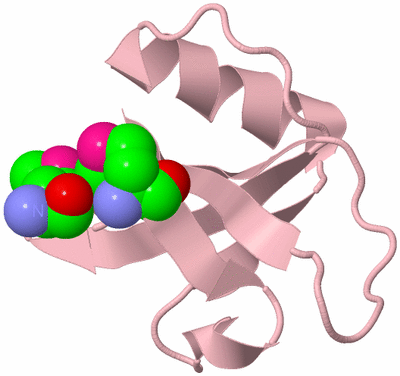 Image Biological Unit 3