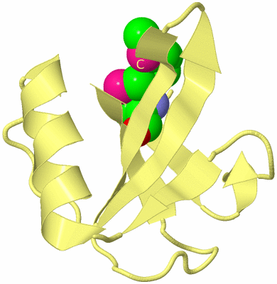 Image Biological Unit 4