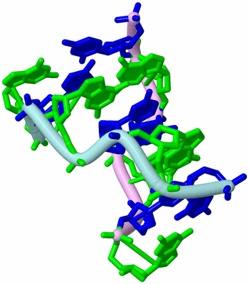 Image Biological Unit 3