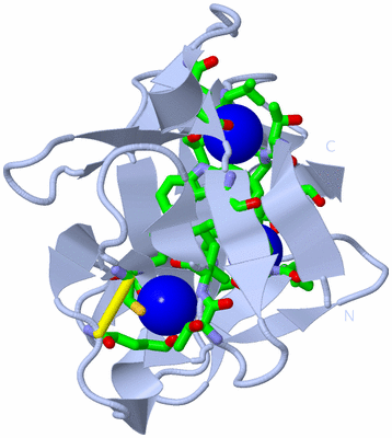 Image Biol. Unit 1 - sites