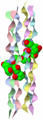 Image Biological Unit 3