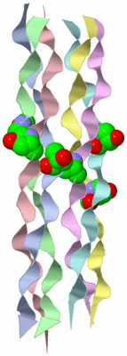 Image Asymmetric Unit