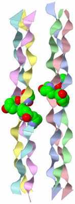 Image Asymmetric Unit