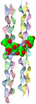 Image Biological Unit 3