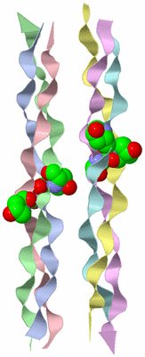 Image Asymmetric Unit