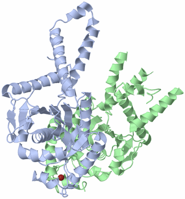 Image Asym./Biol. Unit