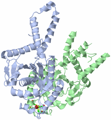 Image Asym./Biol. Unit - sites