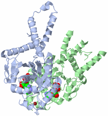 Image Asym./Biol. Unit