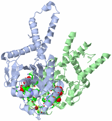 Image Asym./Biol. Unit - sites