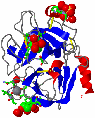 Image Asym./Biol. Unit - sites