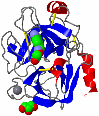 Image Asym./Biol. Unit