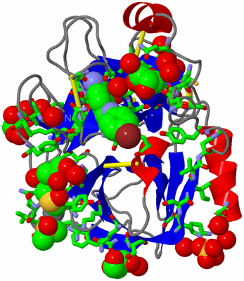 Image Asym./Biol. Unit - sites