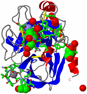 Image Asym./Biol. Unit - sites