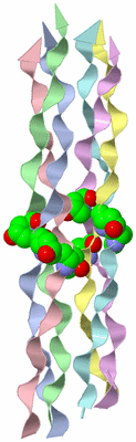 Image Asymmetric Unit