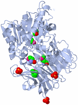 Image Biological Unit 1