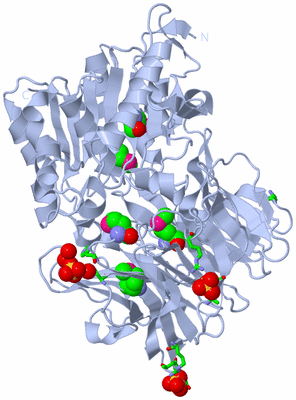 Image Biol. Unit 1 - sites