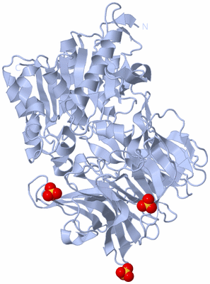 Image Biological Unit 1