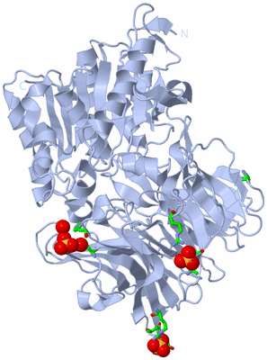 Image Biol. Unit 1 - sites