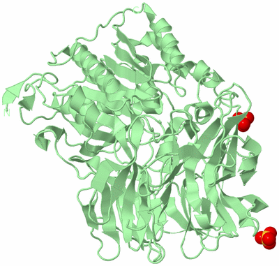 Image Biological Unit 2