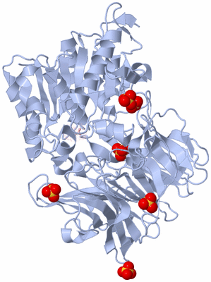 Image Biological Unit 1