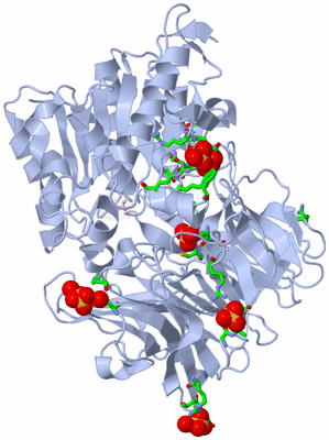 Image Biol. Unit 1 - sites