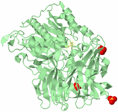 Image Biological Unit 2