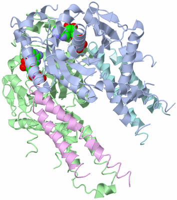 Image Biological Unit 1