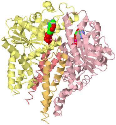 Image Biological Unit 2