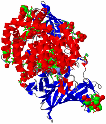 Image Asym./Biol. Unit - sites