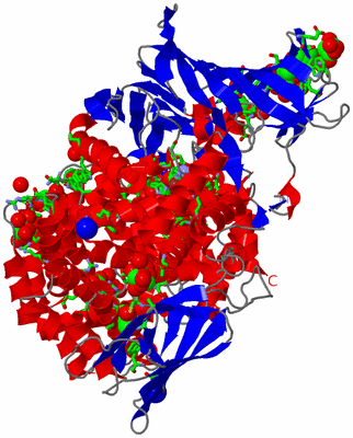 Image Asym./Biol. Unit - sites