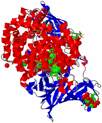 Image Asym./Biol. Unit - sites