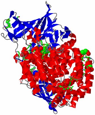 Image Asym./Biol. Unit - sites