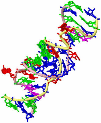 Image Biological Unit 2