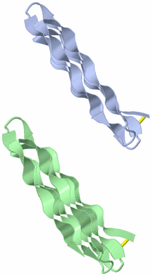 Image Asymmetric Unit