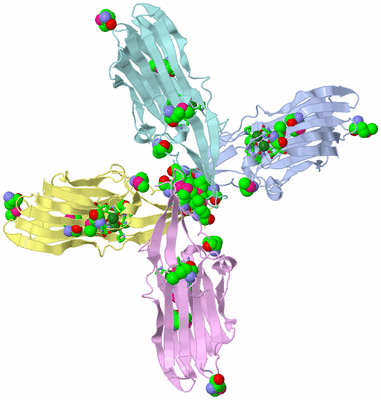 Image Biol. Unit 1 - sites