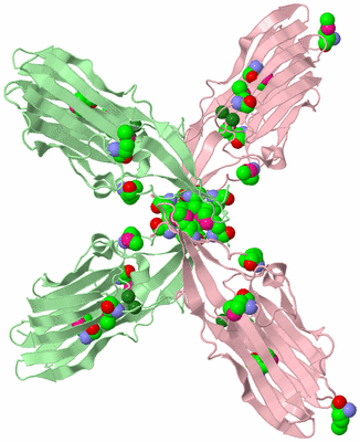 Image Biological Unit 2