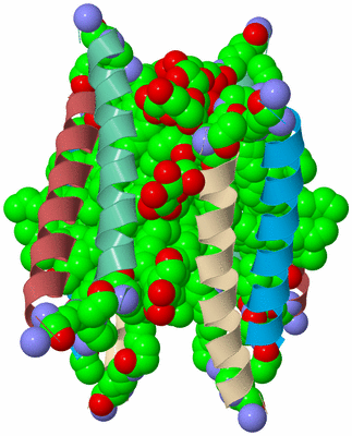 Image Biological Unit 2