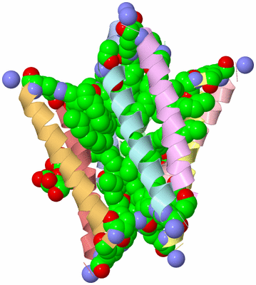 Image Biological Unit 1