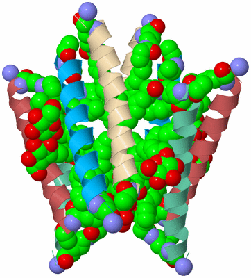 Image Biological Unit 2