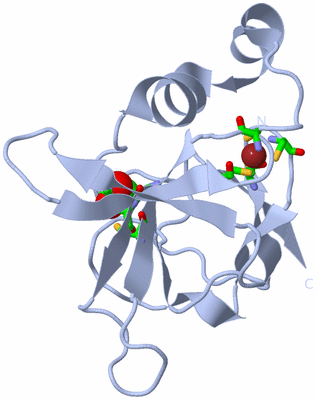 Image Biol. Unit 1 - sites