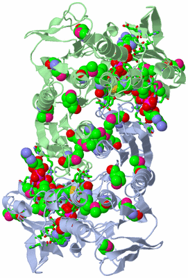 Image Asym./Biol. Unit - sites