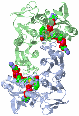 Image Asym./Biol. Unit